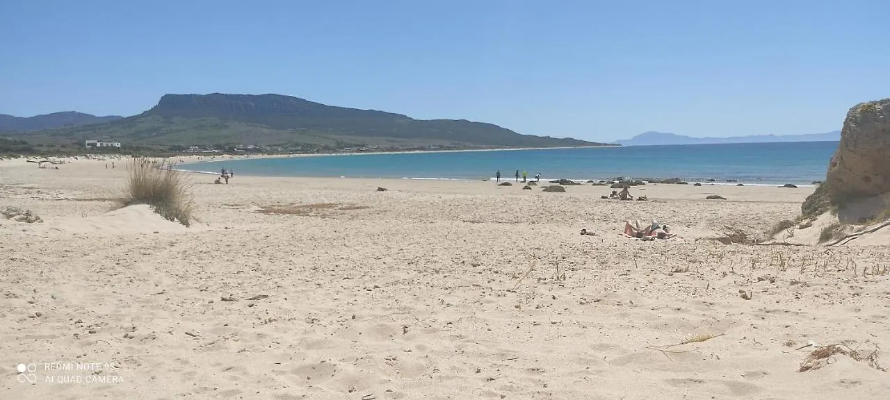 Apartamentos Bolonia - M A N U E L A