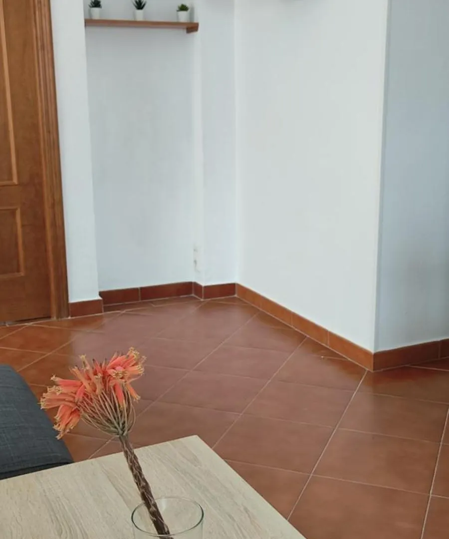 Apartment Apartamentos Bolonia - M A N U E L A