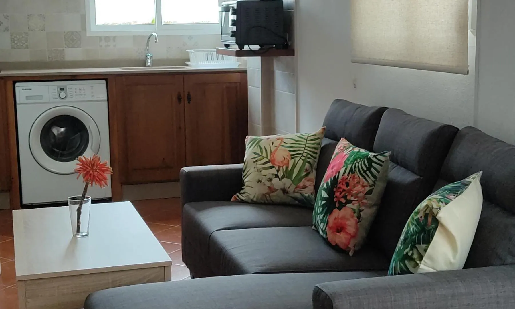 Apartment Apartamentos Bolonia - M A N U E L A
