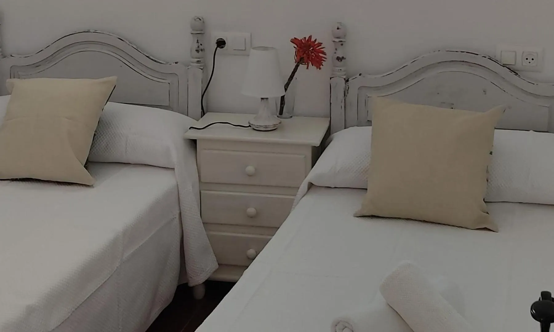Apartamentos Bolonia - M A N U E L A 0*,