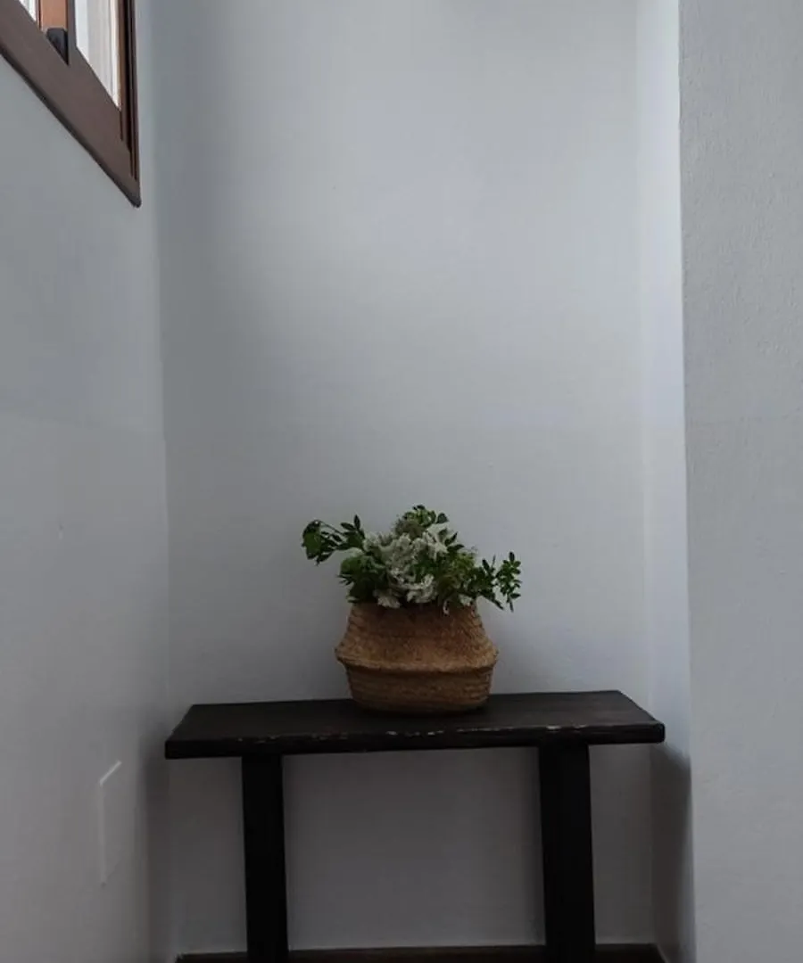 Apartamentos Bolonia - M A N U E L A Apartment