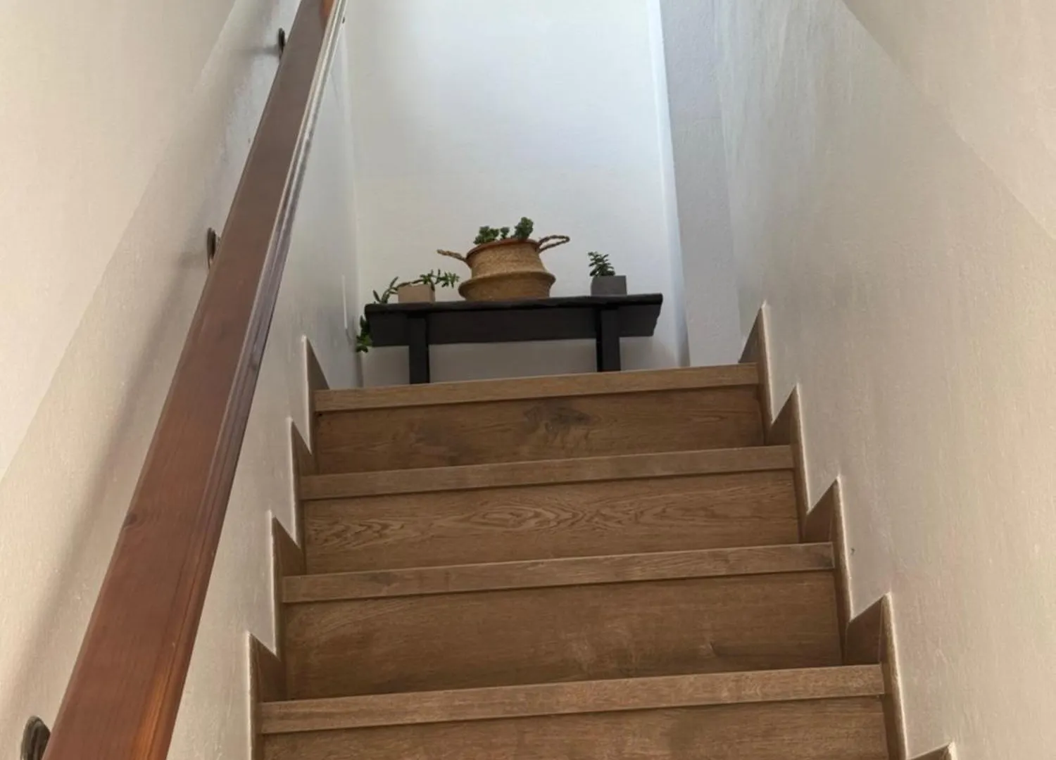 Apartamentos Bolonia - M A N U E L A Apartment