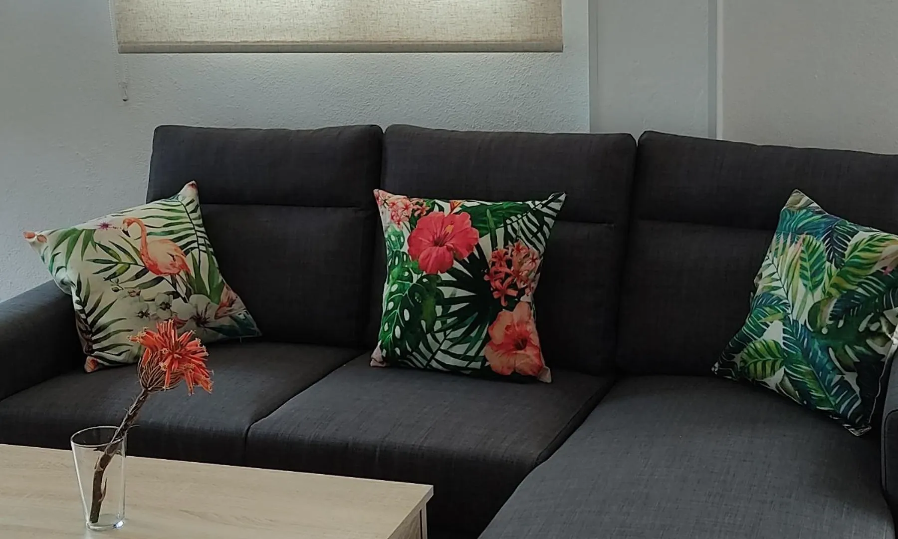 Apartamentos Bolonia - M A N U E L A Apartment