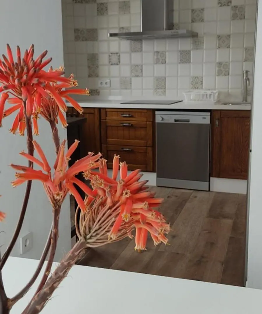 Apartamentos Bolonia - M A N U E L A 0*,  Spain